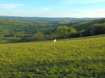 Stunning views