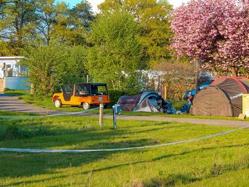 Lots of space for small and large tents