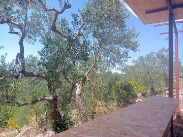 Your peaceful surroundings