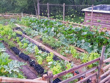 Homegrown and season produce available