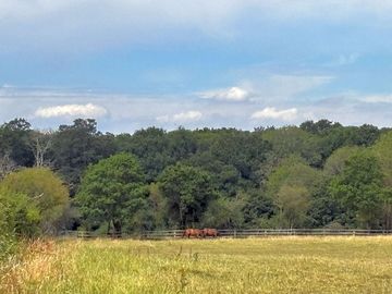 The view from the fields
