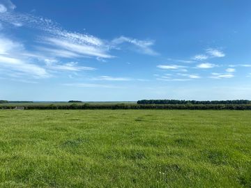 View of the site