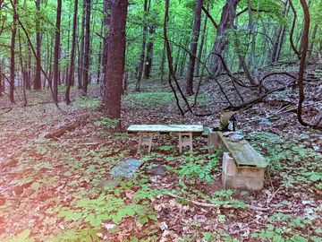 Spot located on the mountain at back of property with benches