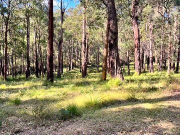 Bushland