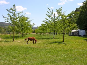 Natural surroundings