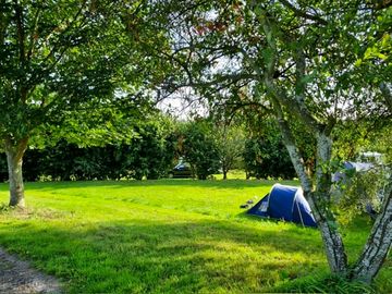 Grass tent Pitch
