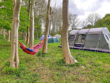 Unwind in a hammock