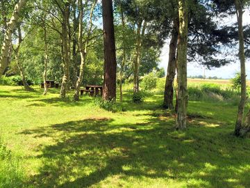 The picnic area