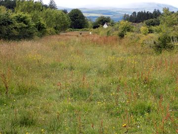 Horse-free area to play and walk in