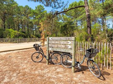Cycle paths in the area