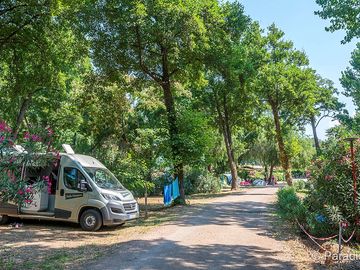 Standard pitch among the trees
