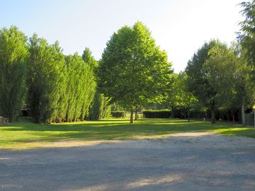 Plenty of greenery on site