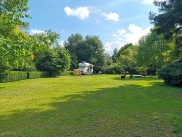 View of the site