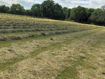 Haymaking at the farm (added by manager 12 Jun 2021)