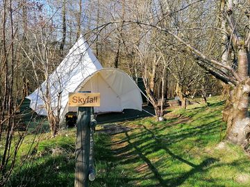 Bell tent in the woods (added by manager 02 Aug 2022)