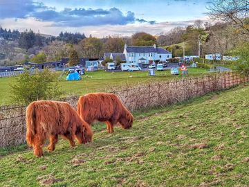 Flora and Catriona look forward to welcoming you to South Whittlieburn Farm (added by manager 21 Feb 2023)