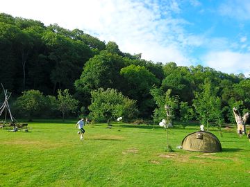 Nature field