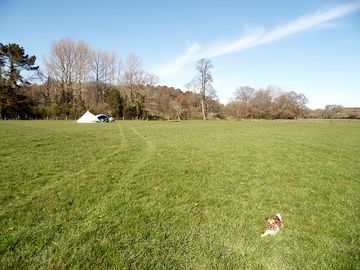 A lone bell tent on a quiet day in the camping field (added by manager 17 Jun 2021)