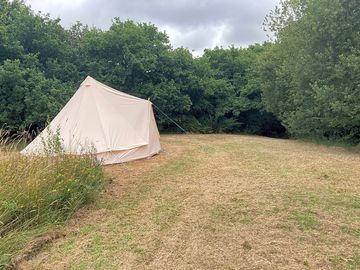 Bell tent in a quiet corner of the field (added by manager 02 Aug 2022)