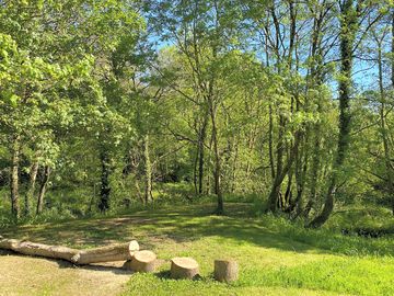Peaceful woodland setting