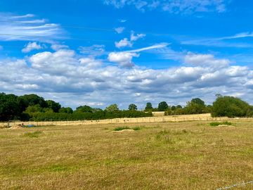 Beautiful open spaces perfect for bird spotting and attracting local wildlife