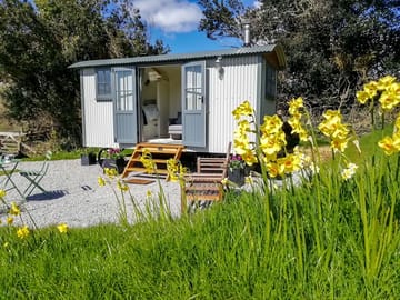 Shepherd's hut for two. (added by manager 01 Nov 2022)