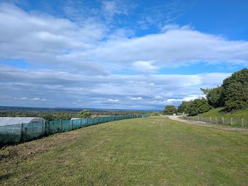 Camping pitches
