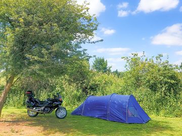 Visitor image of their pitch with the perfect amount of shade