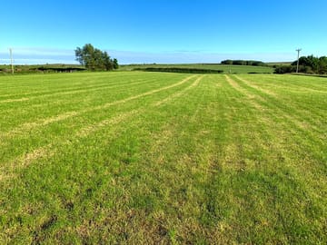 Grassy pitches (added by manager 22 Jun 2021)