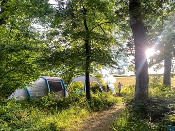 Barhams Woodland Camping Denbury Devon Updated 2025 prices Pitchup