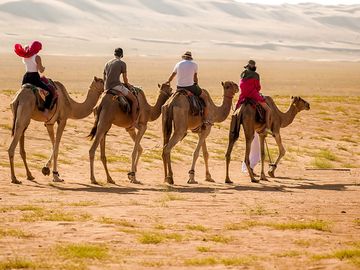 Camel rides (added by manager 18 Jul 2023)