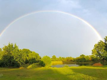 A rainbow appears across the park