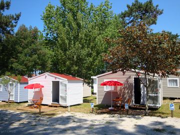 Cabins surrounded by trees