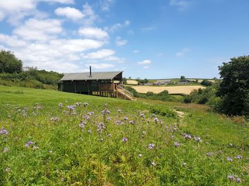 Wildflower meadow (added by manager 17 Jul 2019)
