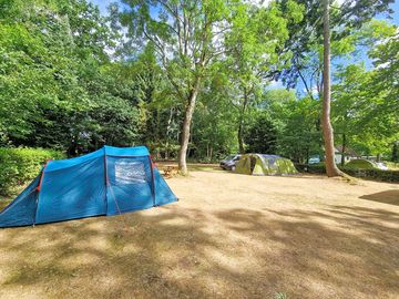 Norfolk naturist site in 25 acres of woodland