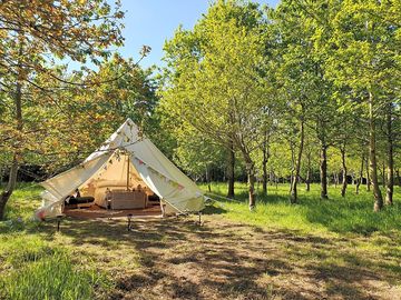 Bee Bell Tent on a shaded pitch (added by manager 03 Jun 2021)