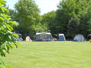 Grass pitches (added by manager 25 Oct 2020)