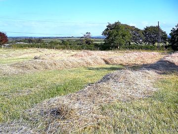 Lower paddock hay ready for collecting and baling (added by manager 10 Aug 2020)