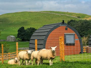 Pod in the Dales landscape