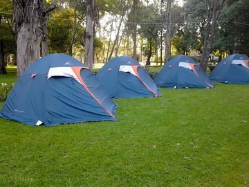Tenting under the trees