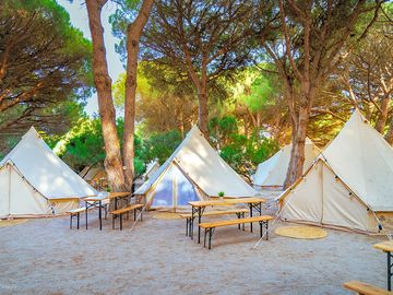 Bell tents under the trees (added by manager 28 Mar 2024)