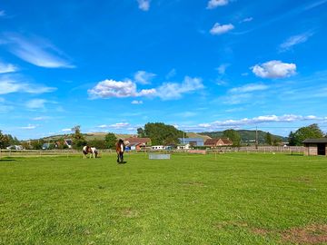 View of Roundway Hill from some pitches (added by manager 24 Aug 2023)