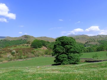Eskdale Valley Campsite (added by manager 22 May 2024)