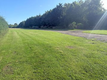 Pitches and dog-walking area