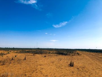 View of the land on site