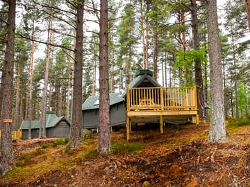 Bothies among pine trees (added by manager 09 Aug 2022)