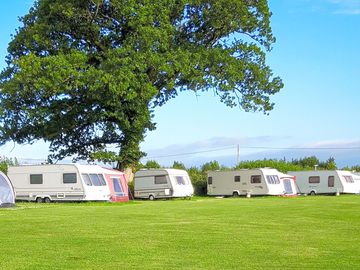 Grass pitches on site