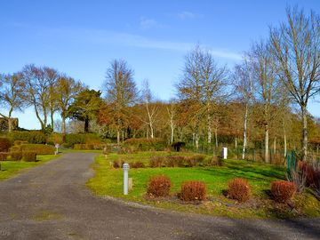Neatly landscaped site