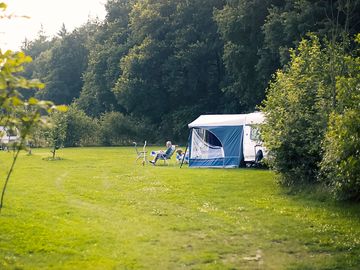 Spacious pitches with forest views (added by manager 13 Sep 2022)