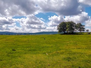 Peaceful views